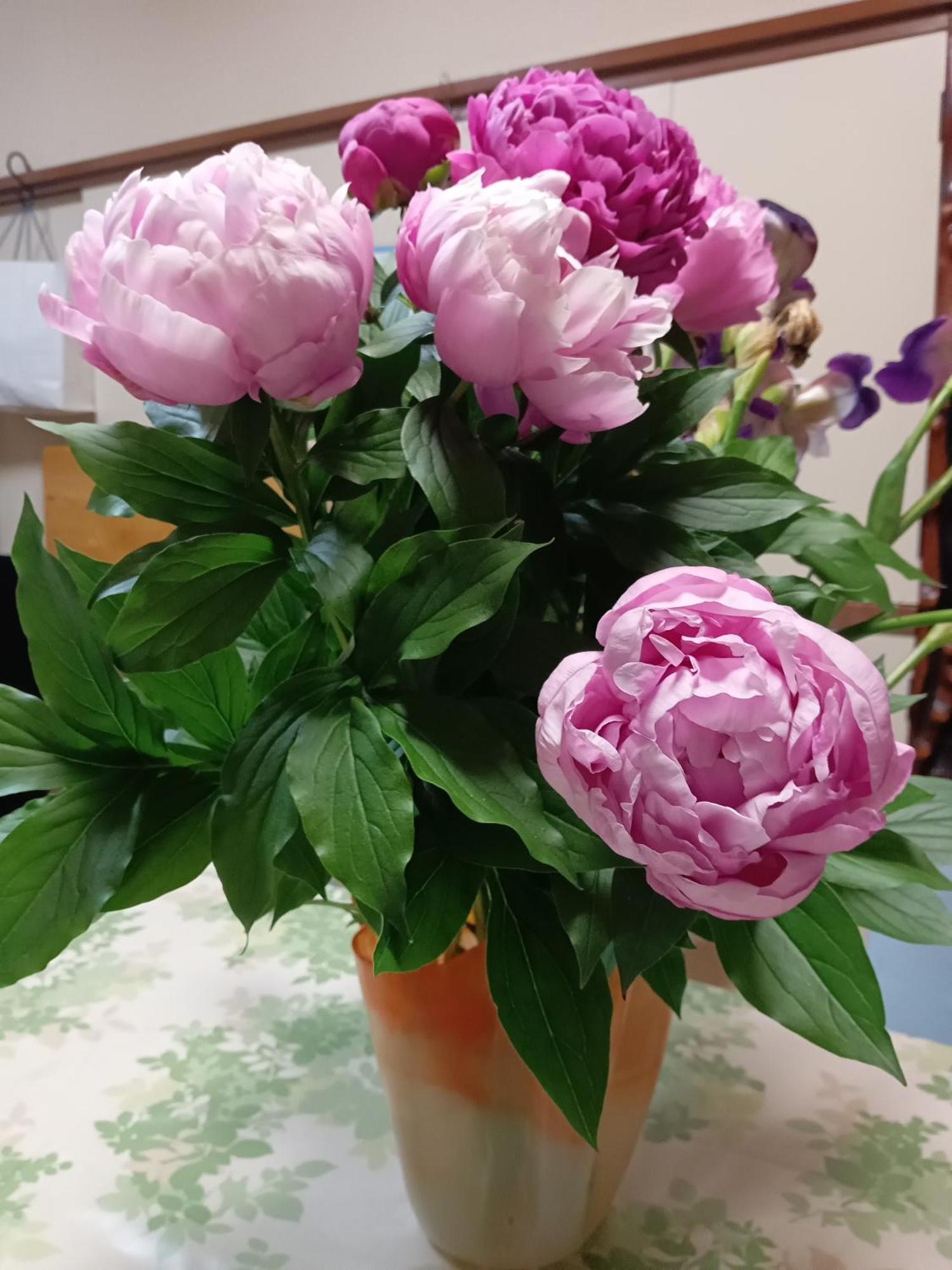 Bed and Breakfast Tokyo Downtown Екстер'єр фото